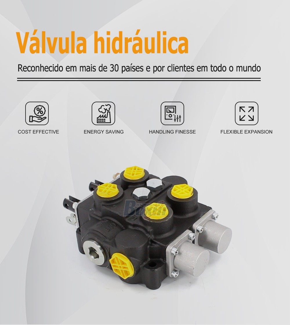 Durable RD5200NPT-2OT 2 Spool Hydraulic Control Valve for Construction Equipment