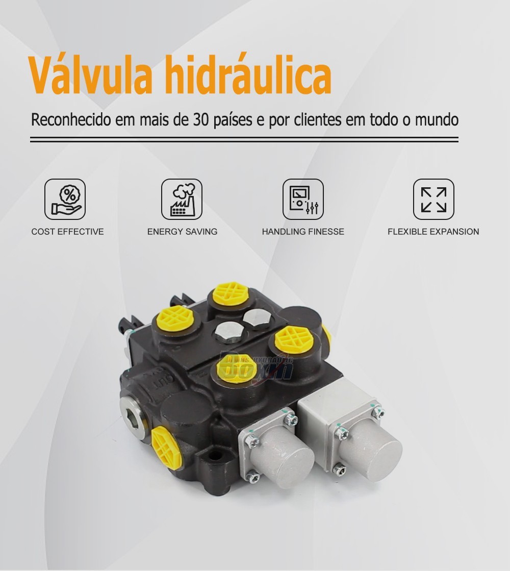 Industrial Grade RD5200NPT-QTW-OT Manual Hydraulic Valve with NPT Ports