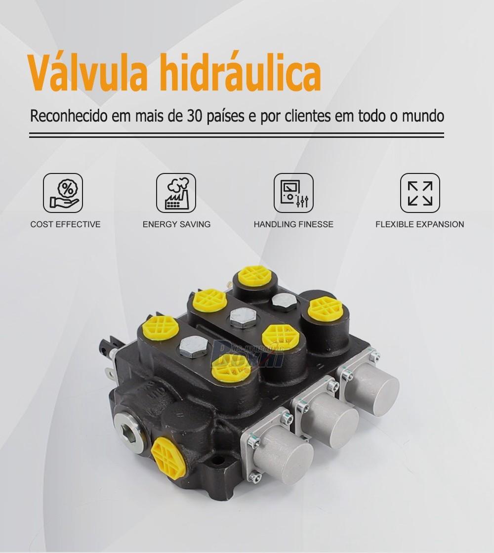 Factory Source RD5300NPT-3OT 3 Spool Manual Hydraulic Valve for Global Market