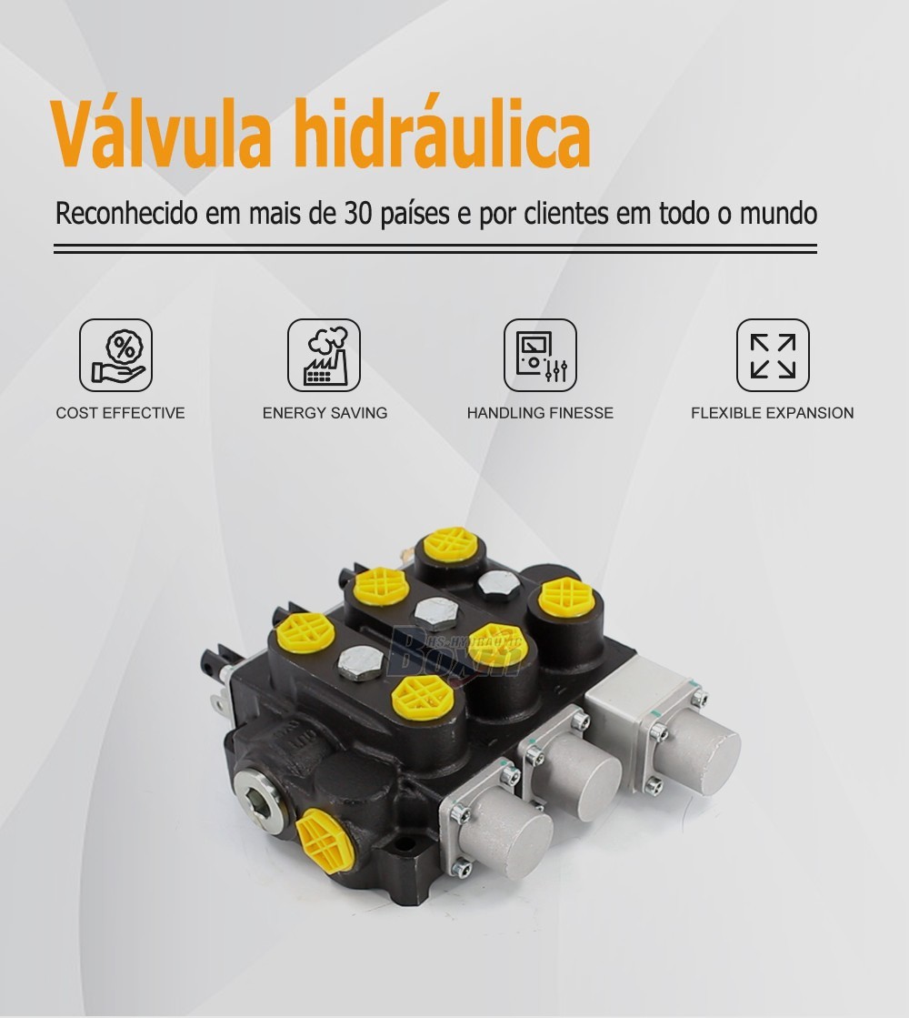 Industrial Grade RD5300NPT-QTW-2OT Manual Hydraulic Valve with 3 Spools