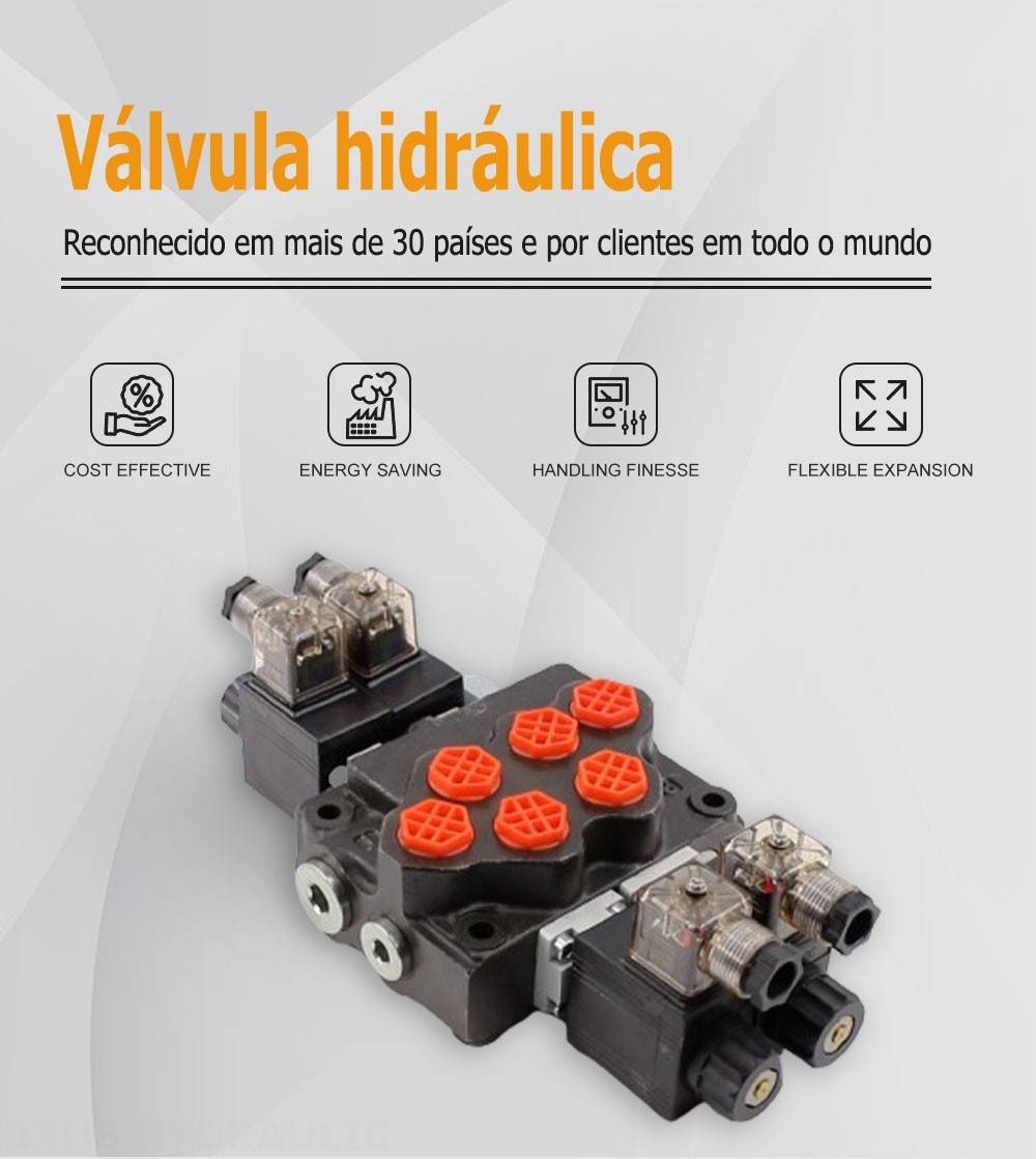 SD5 Solenoide 2 carretéis Válvula direcional monobloco