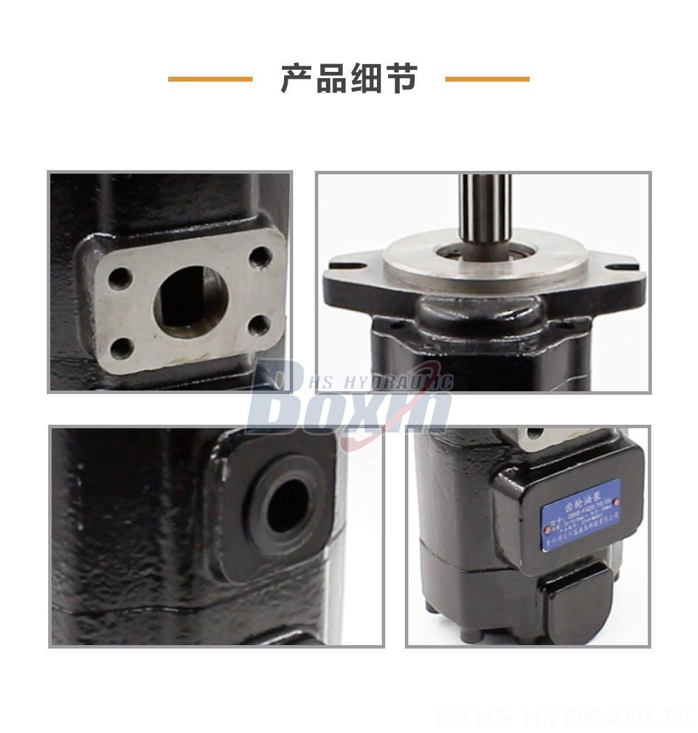 CBHS-F420 20 毫升/转 20 MPa (2900 psi) 液压齿轮泵