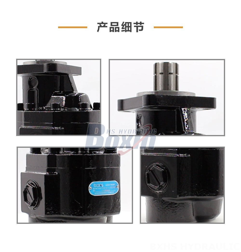 CBHST1-ISO-63 63 毫升/转 22 MPa (3190 psi) 液压齿轮泵