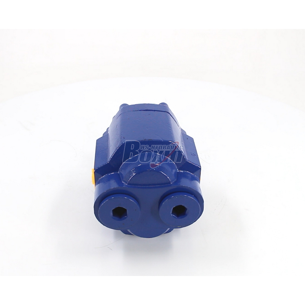 Custom OEM ODM Services for CBHST1-110-KZ 110 cc/rev Hydraulic Gear Pump Manufacturing main image