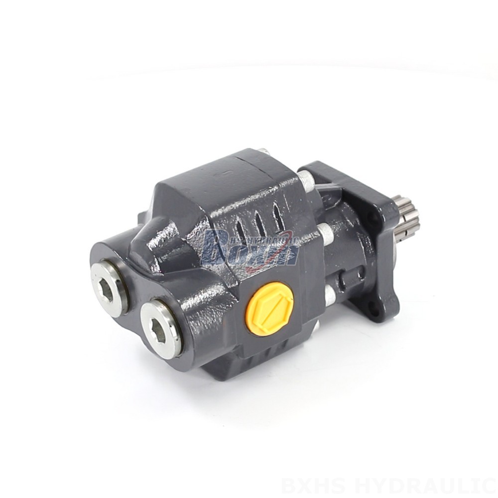 Industrial Hydraulic Gear Pump CBHW-ISO-80-H for Robust Applications main image