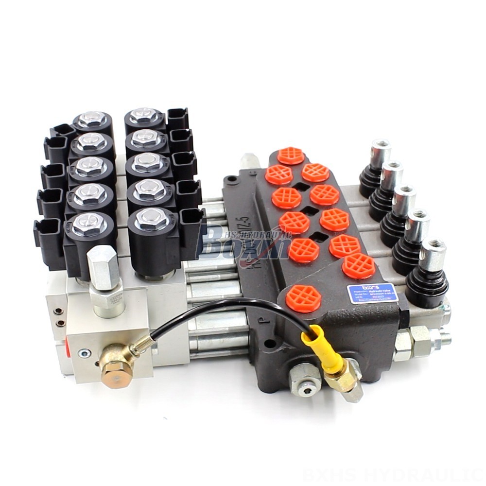 Your Brand, Our Expertise: Private Label Manufacturing of DCV40Z Valves main image
