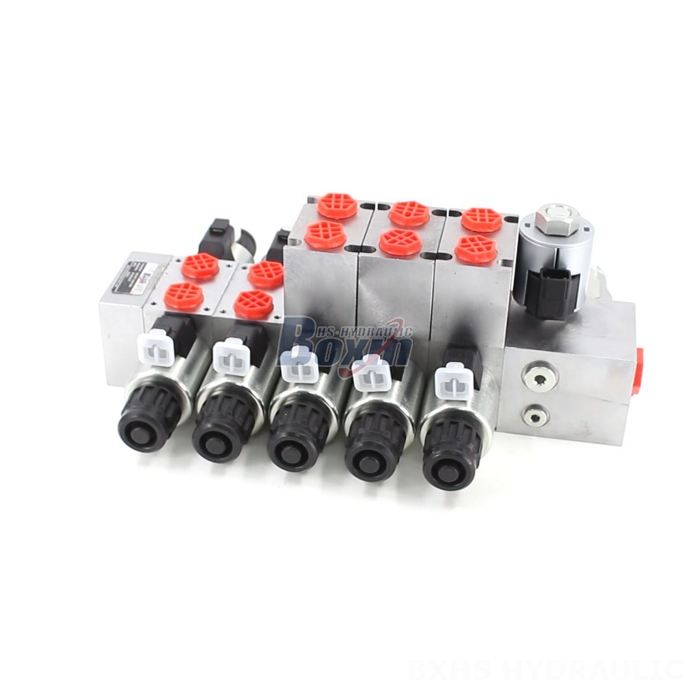 5 Spool Sectional Directional Valve (DCV56): Manufacturer & Global Supplier cover photo