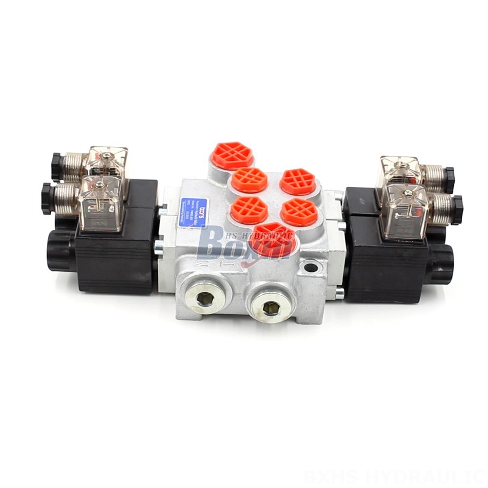 Manufacturer of P40-DKL Monoblock Valves: Wholesale & Customization Available cover photo