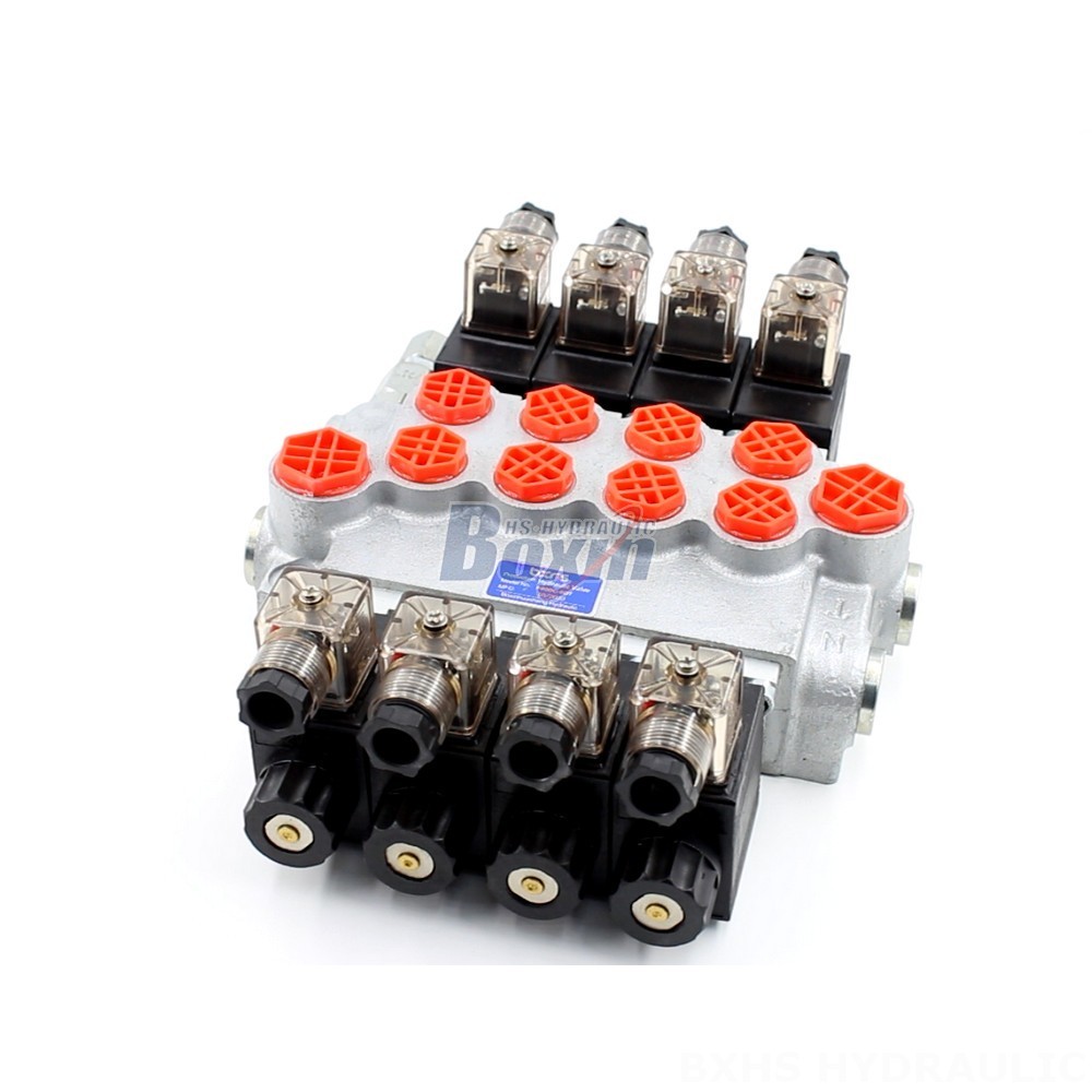 High-Quality Hydraulic Valves: P40-DKL Series | Direct from the Manufacturer main image