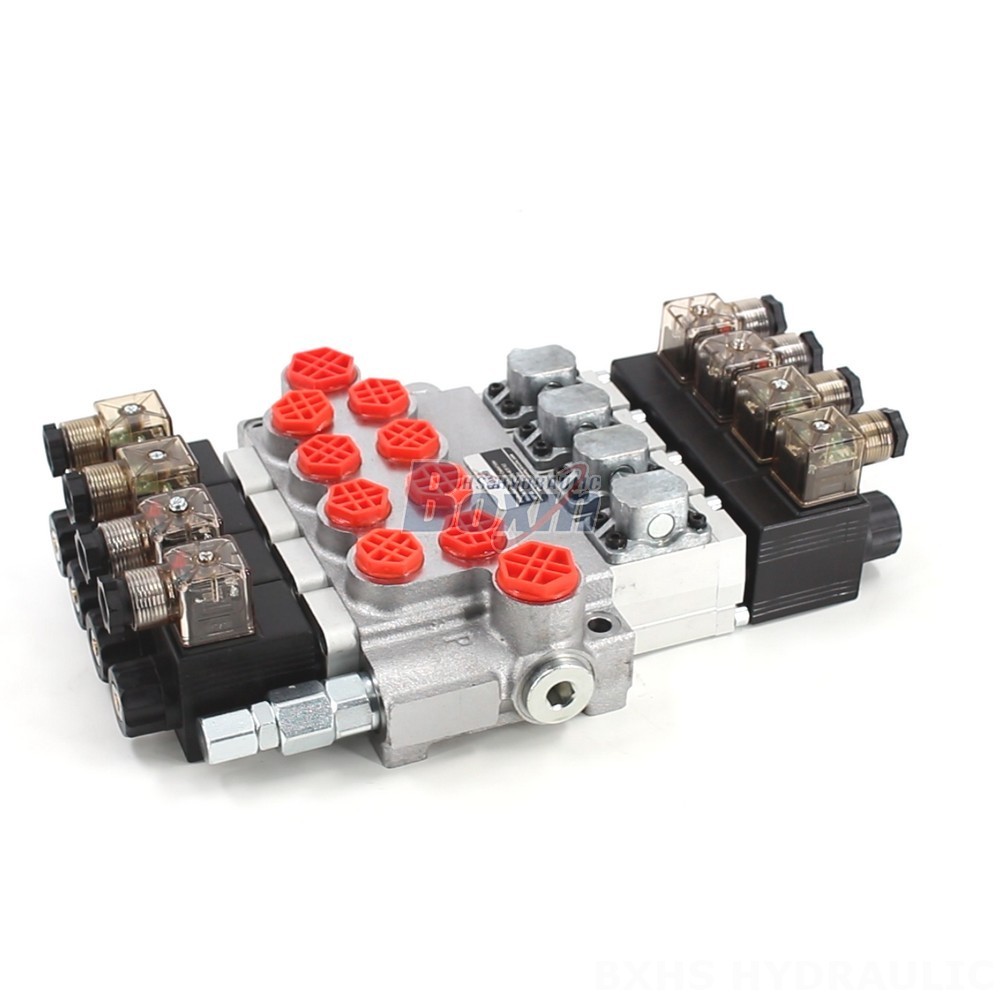 P40-DS Solenoid Valve: Factory Direct Supply, Competitive Pricing main image