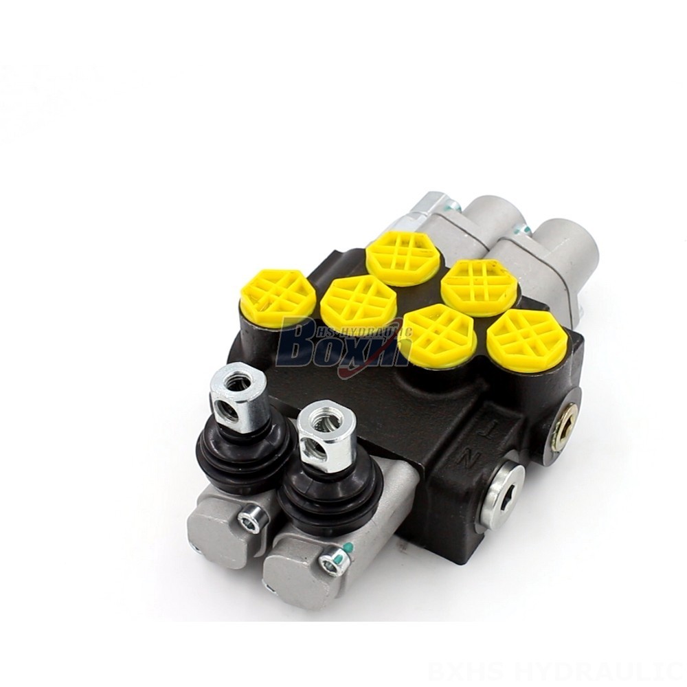 Monoblock Directional Valve P40-G12-2OT | Key Features & Advantages cover photo