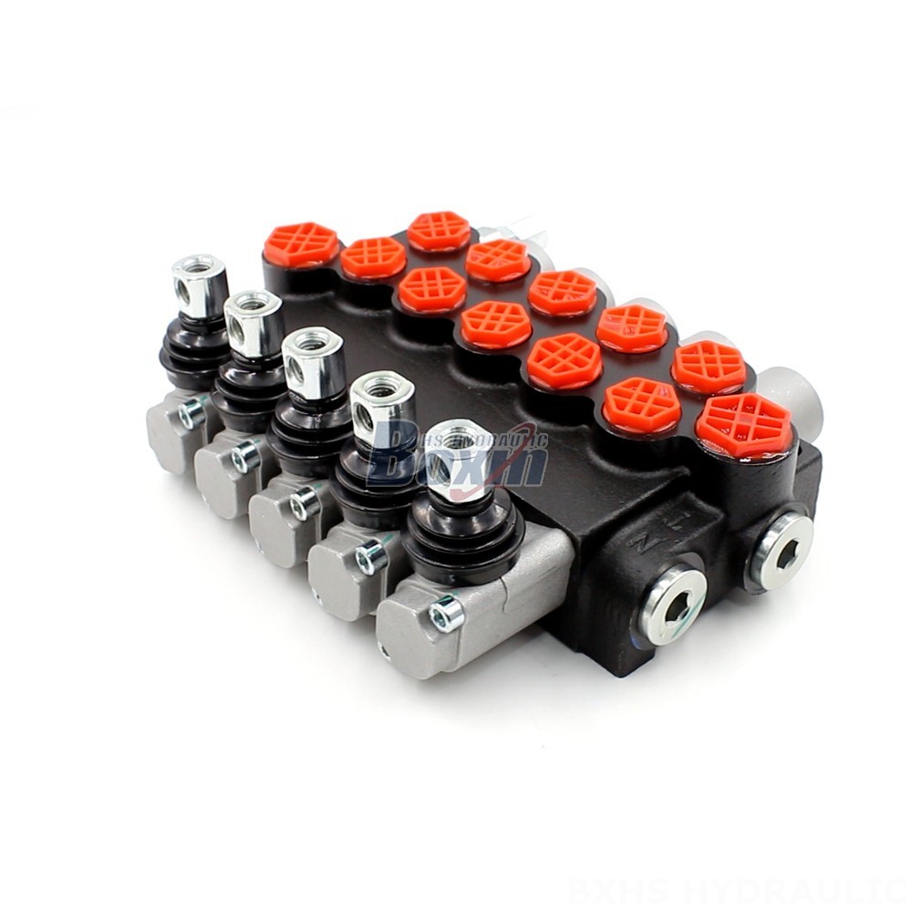Factory Authorized Distribution: Ensure Genuine P40-G12-G38 Valves and Support main image