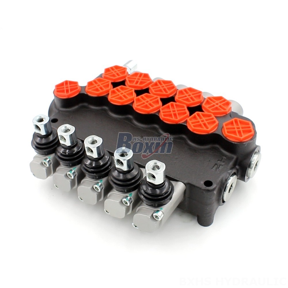 OEM/ODM P80-G34-5OT 5 Spool Directional Valve main image