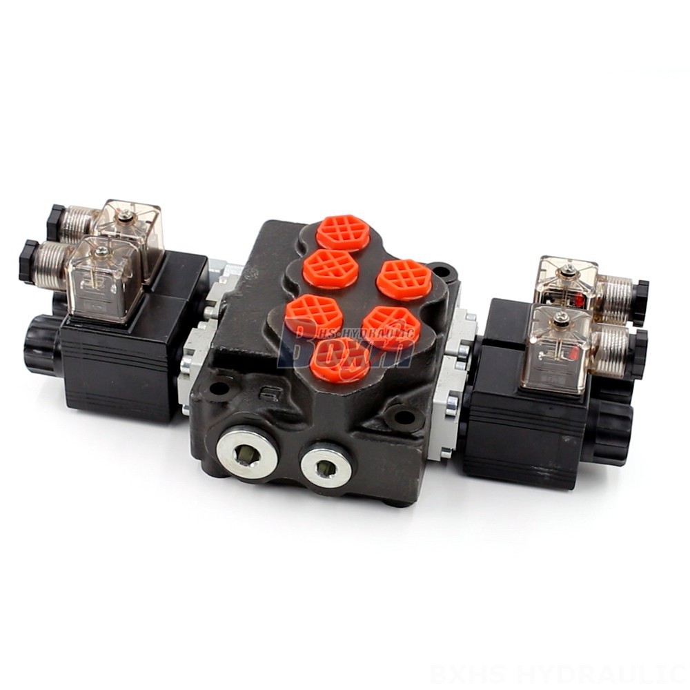 Monoblock Directional Valve with 2 Spools - SD5 Series | Wholesale & OEM cover photo